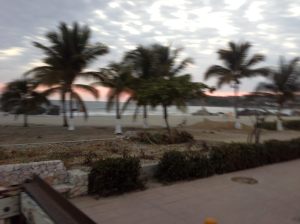 the view from a truck one day