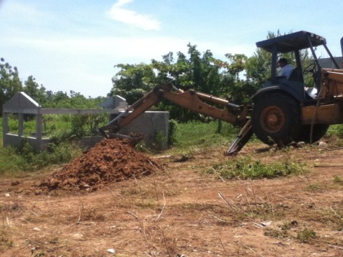 our land, getting the weeds out 