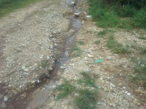 Imagine the mini waterfall when it rains, on the road near my house