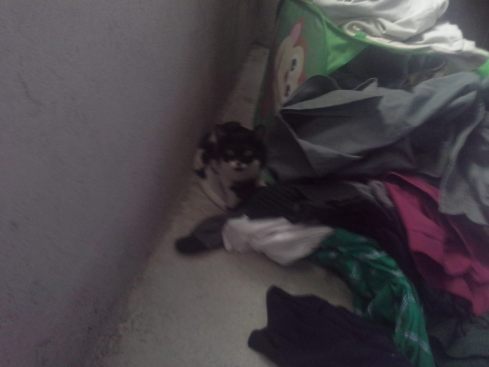 Ladybug says, "Excuse me, did someone invite you to my clothes pile hideout?"