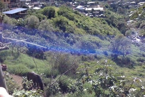 the beautiful view from Paulina's backyard- one of the things to appreciate about Juquila. 