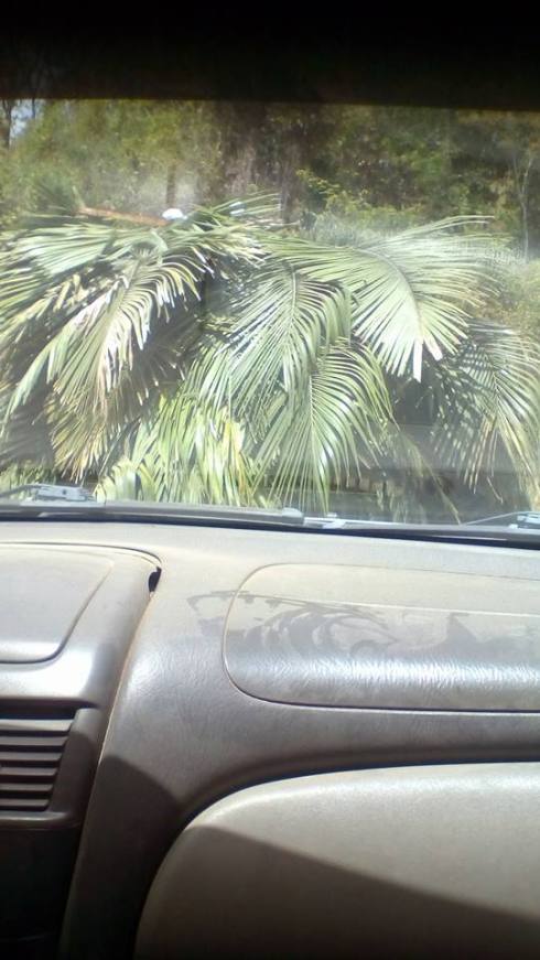 29792487_1759317904125249_3413953749926805504_n